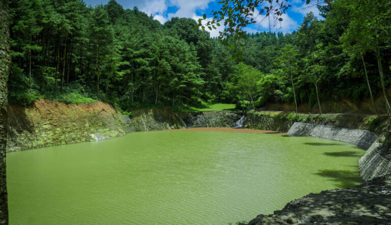 Kalamasi-Bojini dam site and picnic spot image