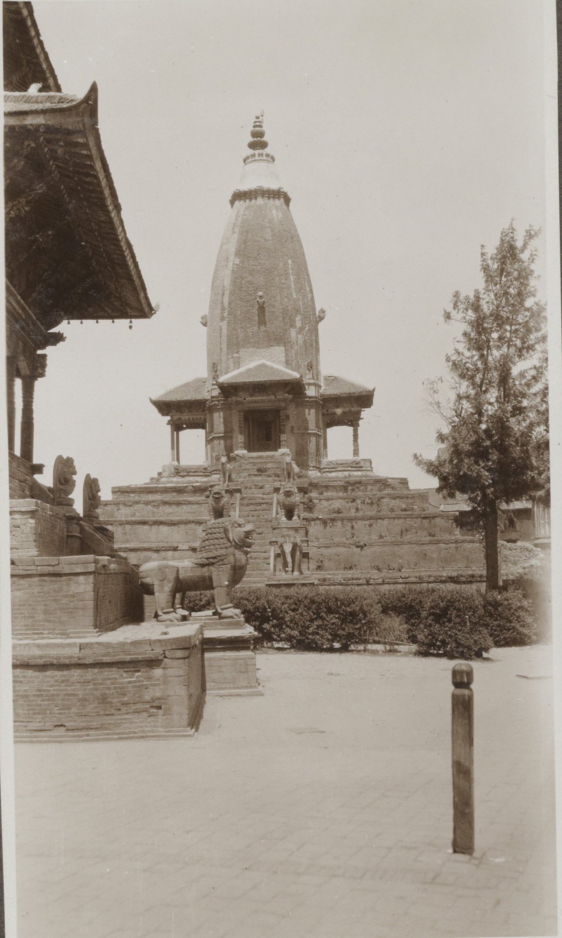 Phasidegal 1932-34 image