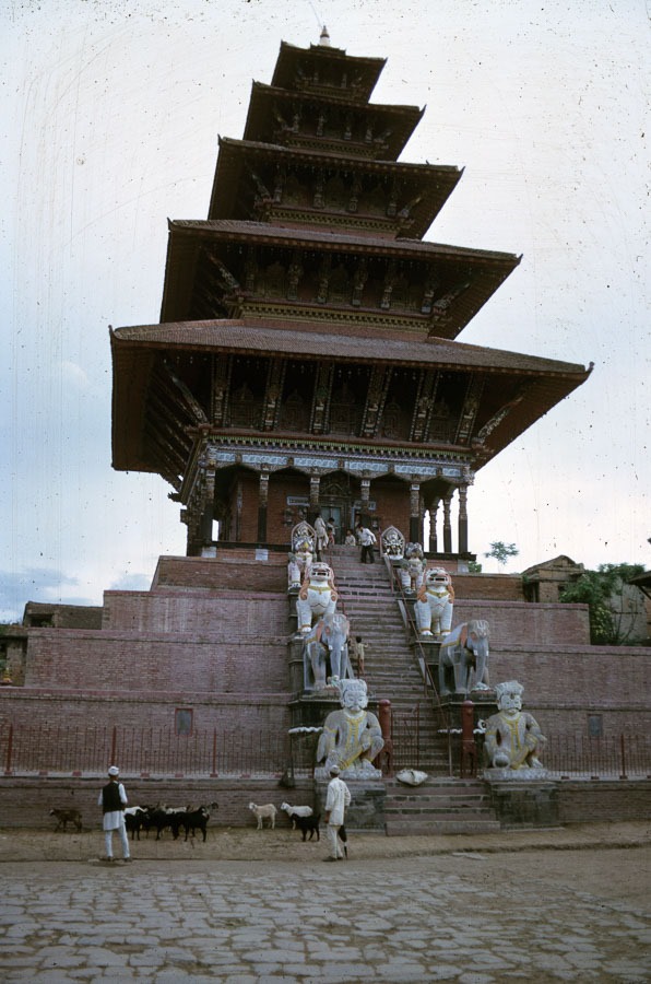 Goats in front of the Nyatapola temple (1962) image