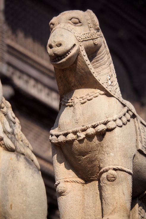 Camel on the plinth of Siddhi laxmi temple image